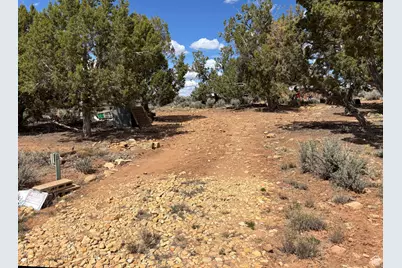 123 E Hickman Flats Rd, Monticello, UT 84535 - Photo 49