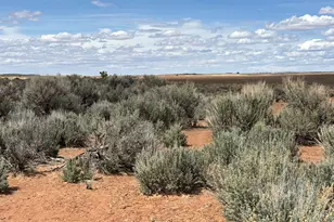 123 E Hickman Flts Rd, Monticello, UT 84535 - Photo 47