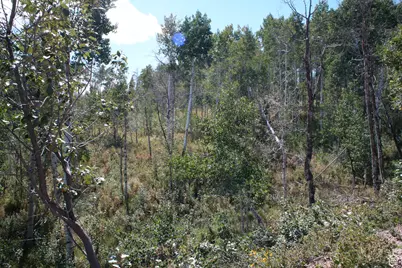 2481 Forest Meadow Rd #D91, Wanship, UT 84017 - Photo 3