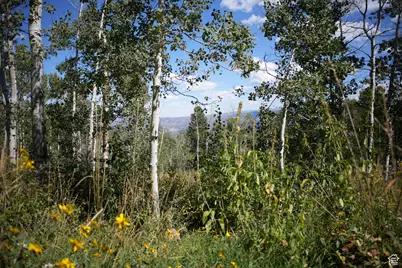 2481 Forest Meadow Rd #D91, Wanship, UT 84017 - Photo 5