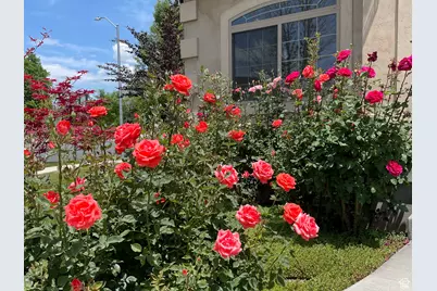 2774 N 370 E, Provo, UT 84604 - Photo 5