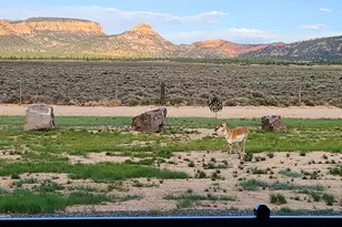 7310 S 1900 E, Panguitch, UT 84759 - Photo 53