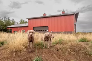 8819 Highfield Rd, Park City, UT 84098 - Photo 33