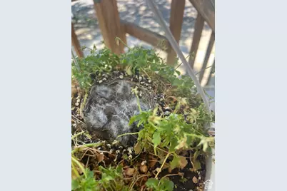 451 E 6000 N, Kenilworth, UT 84529 - Photo 35