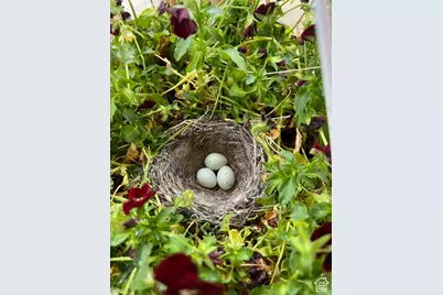 451 E 6000 N, Kenilworth, UT 84529 - Photo 31