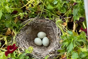 451 E 6000 N, Kenilworth, UT 84529 - Photo 31