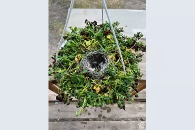 451 E 6000 N, Kenilworth, UT 84529 - Photo 29