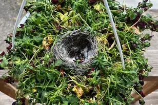 451 E 6000 N, Kenilworth, UT 84529 - Photo 29