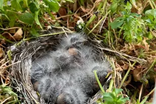 451 E 6000 N, Kenilworth, UT 84529 - Photo 33