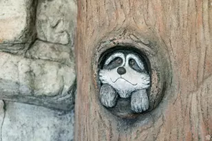 300 S 100 St W, Garden City, UT 84028 - Photo 111