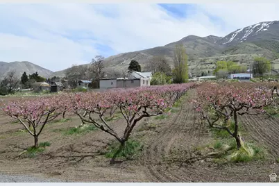 1670 S Hwy 89, Perry, UT 84302 - Photo 81