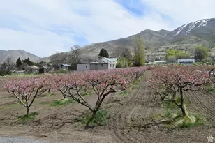 1670 S Hwy 89, Perry, UT 84302 - Photo 81