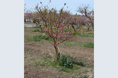 1670 S Hwy 89, Perry, UT 84302 - Photo 79