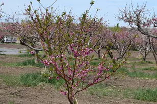 1670 S Hwy 89, Perry, UT 84302 - Photo 79