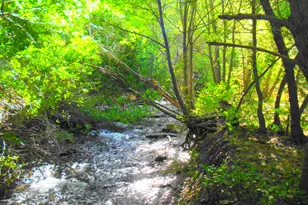 6716 N Fairfax Dr, Provo Canyon, UT 84604 - Photo 19