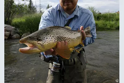 [Address not provided], Altonah, UT 84002 - Photo 5