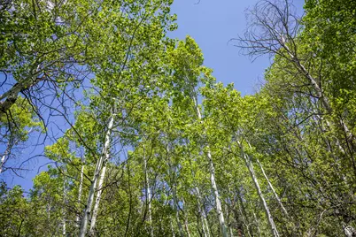 5426 E Colter #33, Oakley, UT 84055 - Photo 17