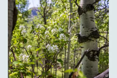 5426 E Colter #33, Oakley, UT 84055 - Photo 19