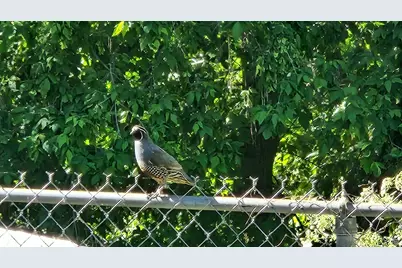 1735 Hayes Dr, Layton, UT 84040 - Photo 45