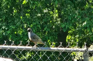 1735 Hayes Dr, Layton, UT 84040 - Photo 45