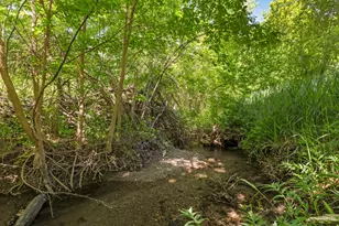 1735 Hayes Dr, Layton, UT 84040 - Photo 5