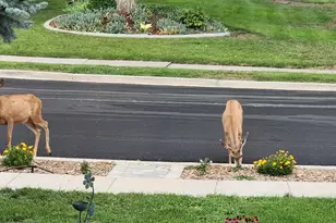 1735 Hayes Dr, Layton, UT 84040 - Photo 47