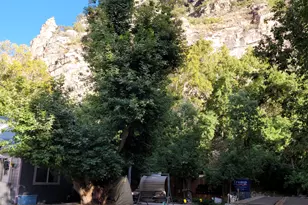 83 E Miners St, Ophir, UT 84071 - Photo 5