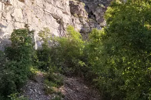 83 E Miners St, Ophir, UT 84071 - Photo 41