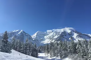 8878 N Timphaven Rd Man Rd, Sundance, UT 84604 - Photo 55