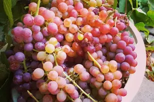 220 S Coleman St W, Tooele, UT 84074 - Photo 59