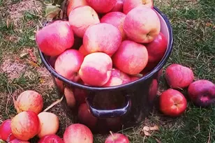 220 S Coleman St W, Tooele, UT 84074 - Photo 57