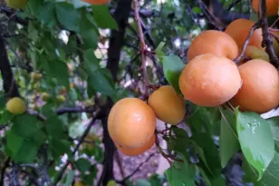 220 S Coleman St W, Tooele, UT 84074 - Photo 55