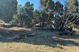 46205 W Little Elk Rd, Fruitland, UT 84027 - Photo 17