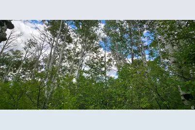 11 Tabby Rd #11, Tabiona, UT 84072 - Photo 9