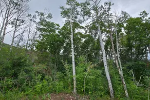 11 Tabby Rd, Tabiona, UT 84072 - Photo 13