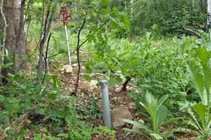 11 Tabby Rd, Tabiona, UT 84072 - Photo 7