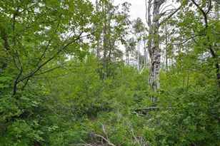 11 Tabby Rd, Tabiona, UT 84072 - Photo 11