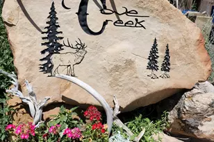 1665 E 1200 N, Mount Pleasant, UT 84647 - Photo 79