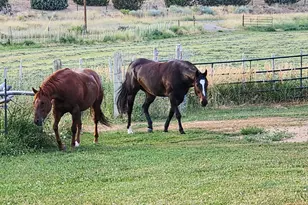 1665 E 1200 N, Mount Pleasant, UT 84647 - Photo 71