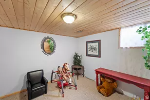 1665 E 1200 N, Mount Pleasant, UT 84647 - Photo 23