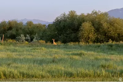2653 W 5230 N, Benson, UT 84335 - Photo 55