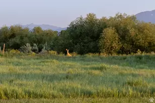 2653 W 5230 N, Benson, UT 84335 - Photo 55