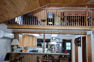 97 Main St, Ophir, UT 84071 - Photo 35