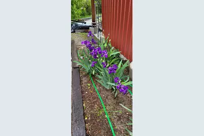 97 Main St, Ophir, UT 84071 - Photo 31