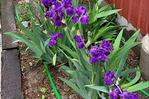 97 Main St, Ophir, UT 84071 - Photo 31