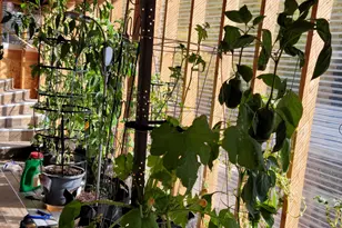 97 Main St, Ophir, UT 84071 - Photo 33