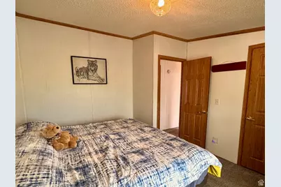 2221 W Highway 43, Manila, UT 84046 - Photo 31