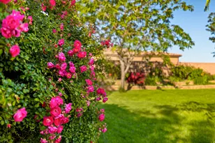 565 E Rio De Sion Dr, Virgin, UT 84779 - Photo 9