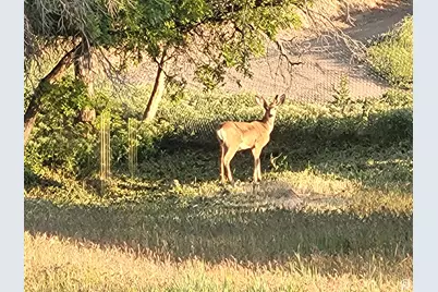 1406 S Bartholomew Dr, Springville, UT 84663 - Photo 15
