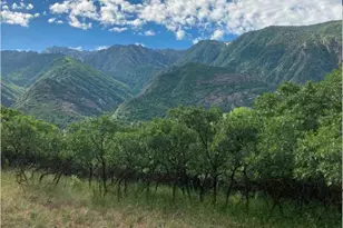 98 Lone Hollow Dr, Sandy, UT 84092 - Photo 7